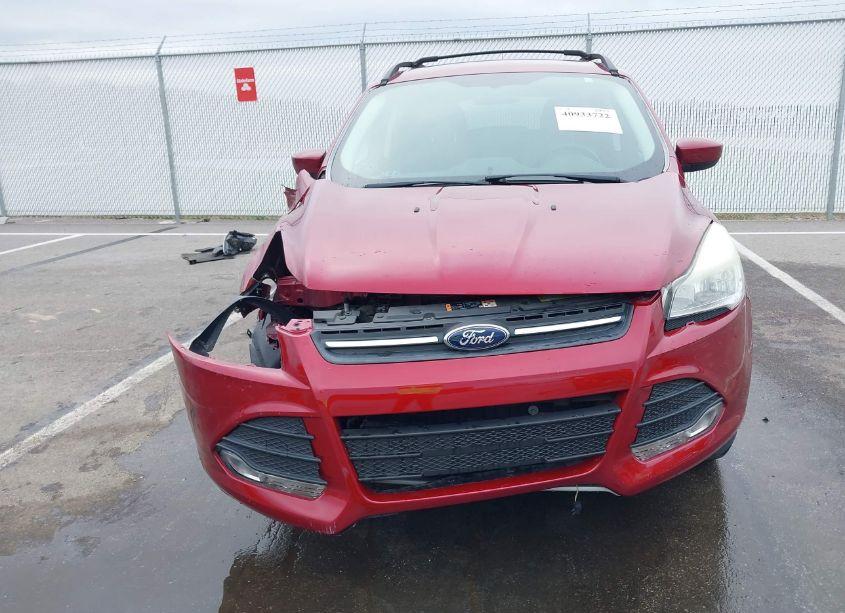 Photo 13 of 2014 Ford Escape SE (VIN 1FMCU0GX0EUC68028)