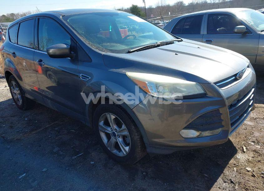 2014 Ford Escape SE (VIN 1FMCU0GX0EUC97660) main photo