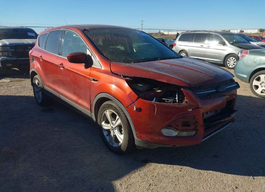 2014 Ford Escape SE (VIN 1FMCU0GX0EUD16272) main photo