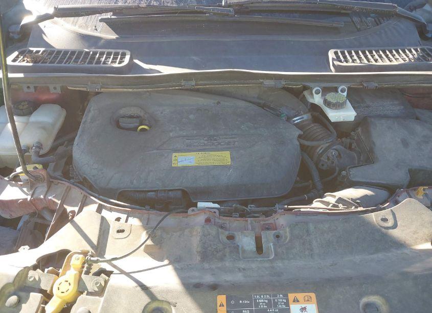 Photo 10 of 2014 Ford Escape SE (VIN 1FMCU0GX0EUD16272)