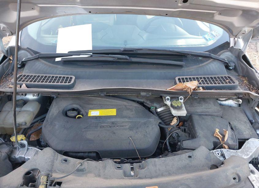 Photo 10 of 2015 Ford Escape SE (VIN 1FMCU0GX0FUA72804)