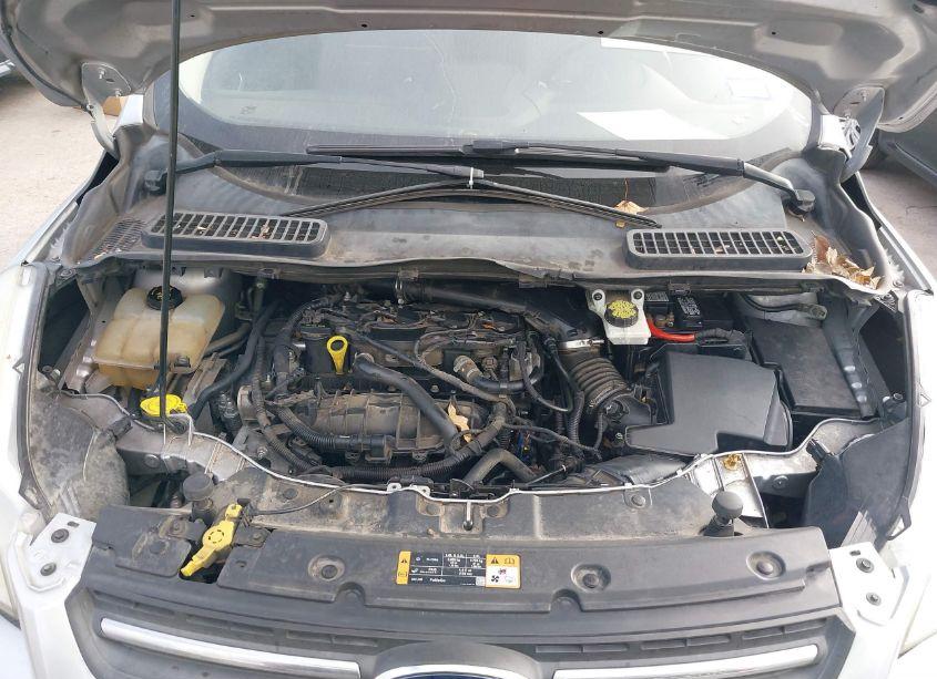 Photo 10 of 2015 Ford Escape SE (VIN 1FMCU0GX0FUB09639)