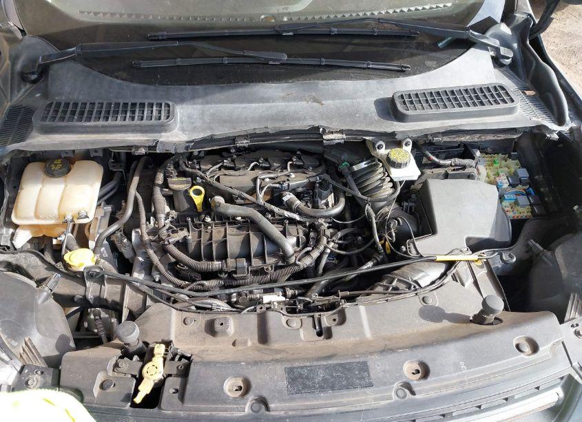 Photo 10 of 2015 Ford Escape SE (VIN 1FMCU0GX0FUB09687)