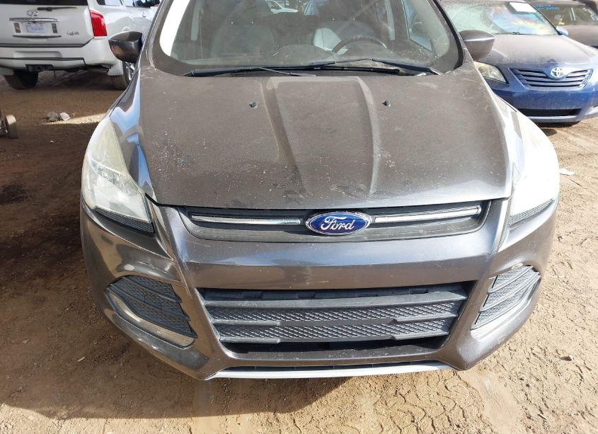 Photo 6 of 2015 Ford Escape SE (VIN 1FMCU0GX0FUB09687)