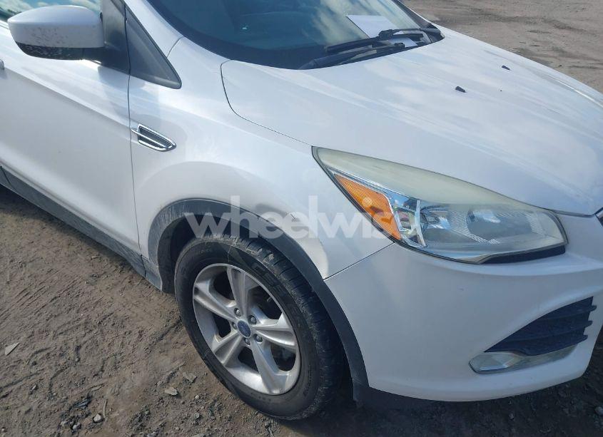 Photo 6 of 2015 Ford Escape SE (VIN 1FMCU0GX0FUB69310)