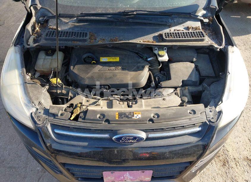 Photo 10 of 2016 Ford Escape SE (VIN 1FMCU0GX0GUA08070)