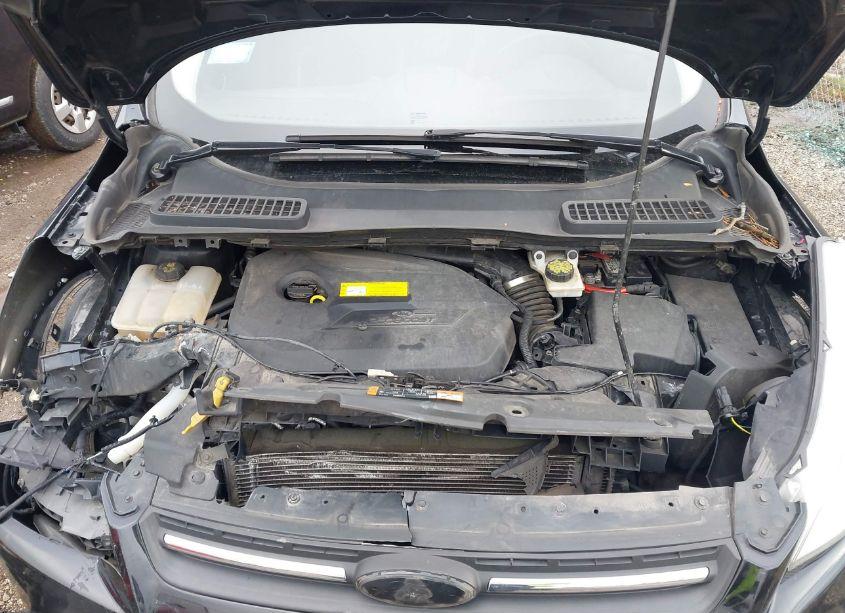 Photo 10 of 2016 Ford Escape SE (VIN 1FMCU0GX0GUA37620)