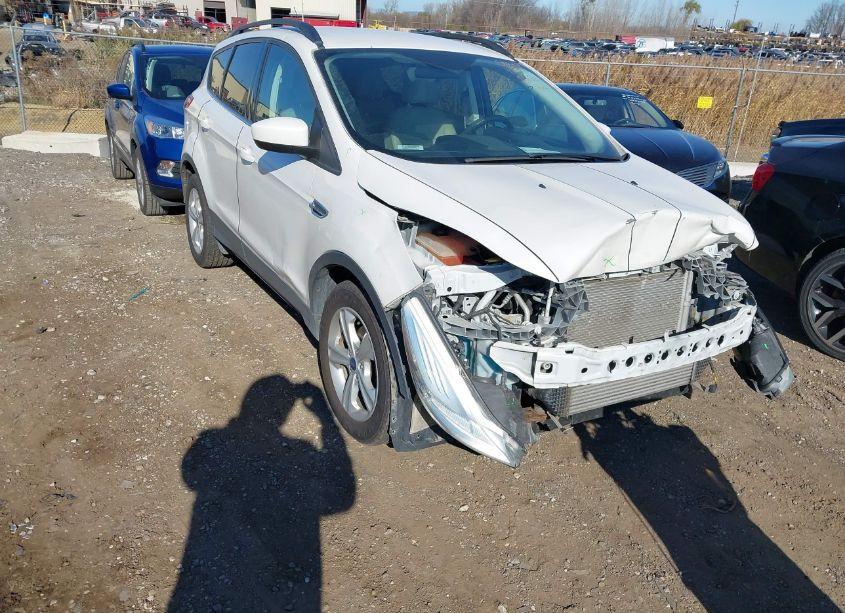 2016 Ford Escape SE (VIN 1FMCU0GX0GUB06421) main photo