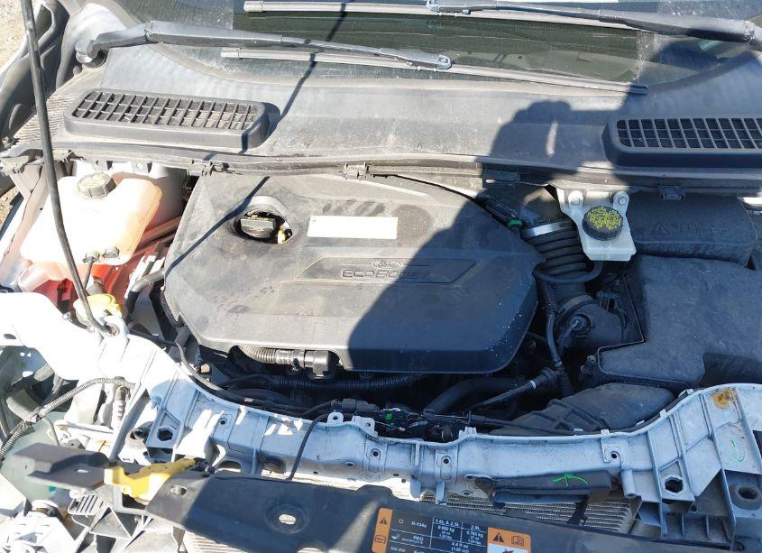 Photo 10 of 2016 Ford Escape SE (VIN 1FMCU0GX0GUB06421)