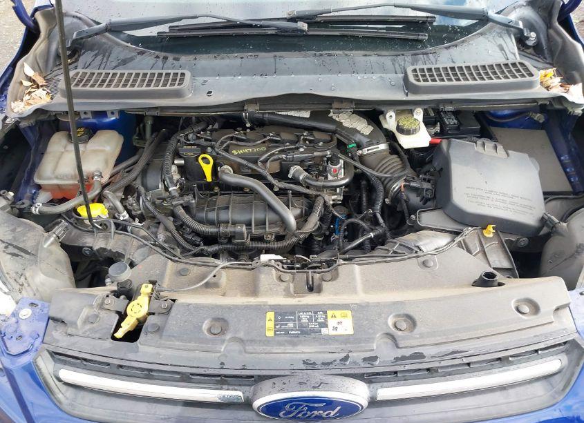 Photo 10 of 2013 Ford Escape SE (VIN 1FMCU0GX1DUC56310)