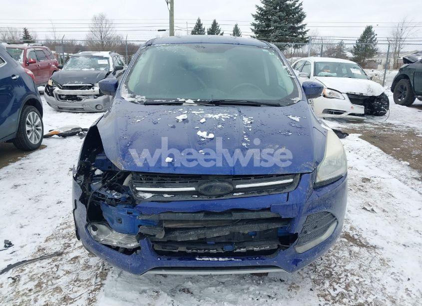 Photo 12 of 2014 Ford Escape SE (VIN 1FMCU0GX1EUA16840)
