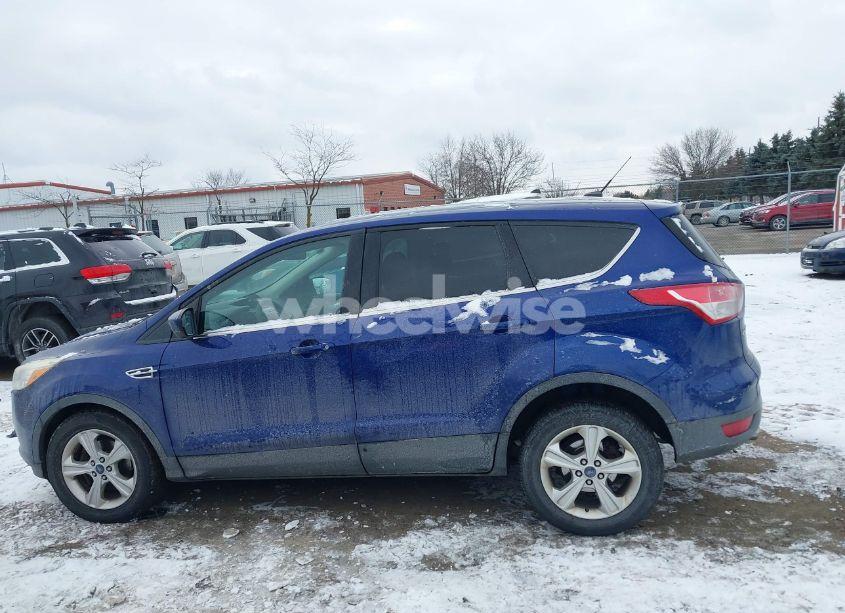 Photo 14 of 2014 Ford Escape SE (VIN 1FMCU0GX1EUA16840)