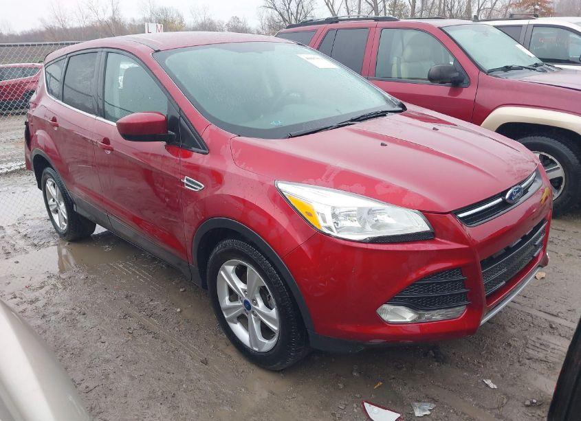 2014 Ford Escape SE (VIN 1FMCU0GX1EUA44623) main photo