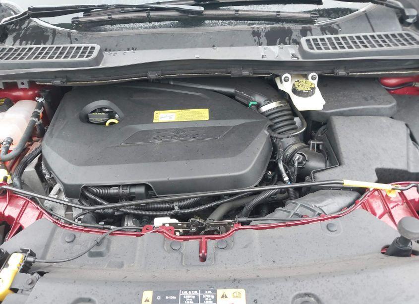 Photo 10 of 2014 Ford Escape SE (VIN 1FMCU0GX1EUA44623)