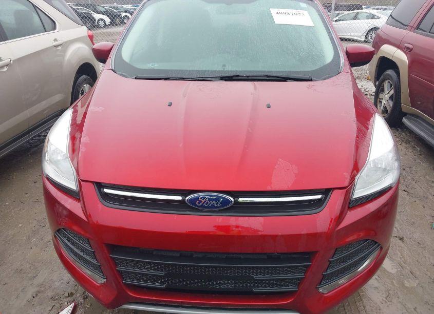 Photo 12 of 2014 Ford Escape SE (VIN 1FMCU0GX1EUA44623)