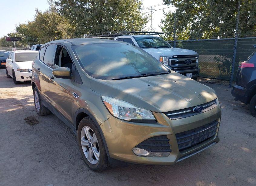 2014 Ford Escape SE (VIN 1FMCU0GX1EUA47392) main photo