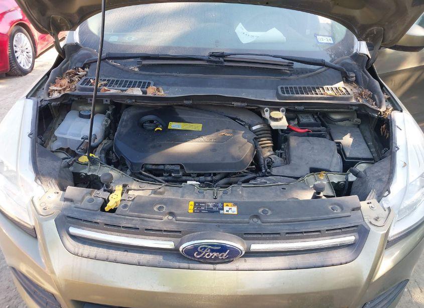 Photo 10 of 2014 Ford Escape SE (VIN 1FMCU0GX1EUA47392)