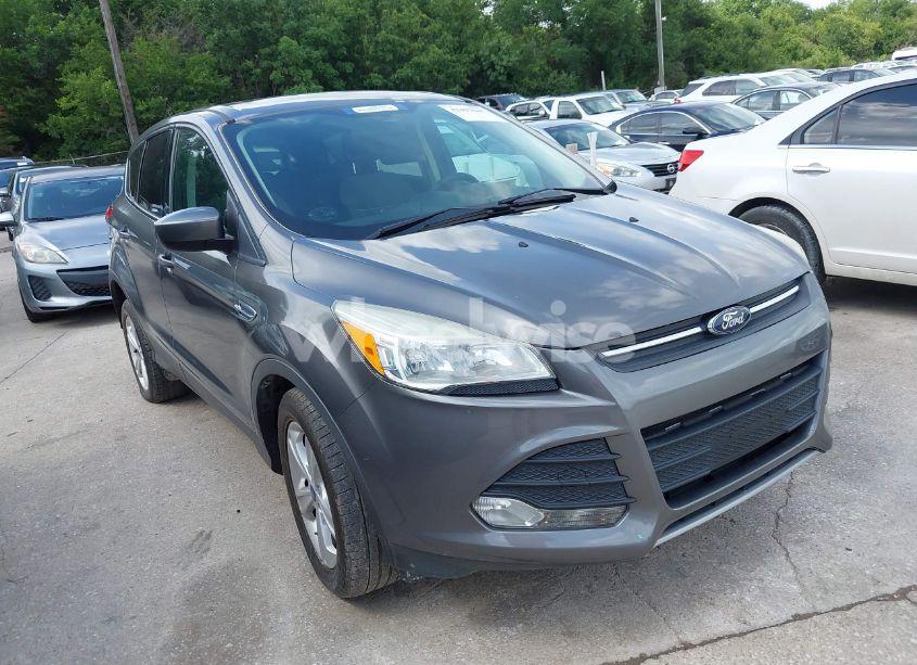 2014 Ford Escape SE (VIN 1FMCU0GX1EUA78285) main photo