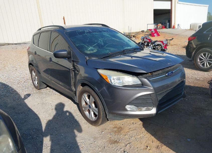 2014 Ford Escape SE (VIN 1FMCU0GX1EUB21863) main photo
