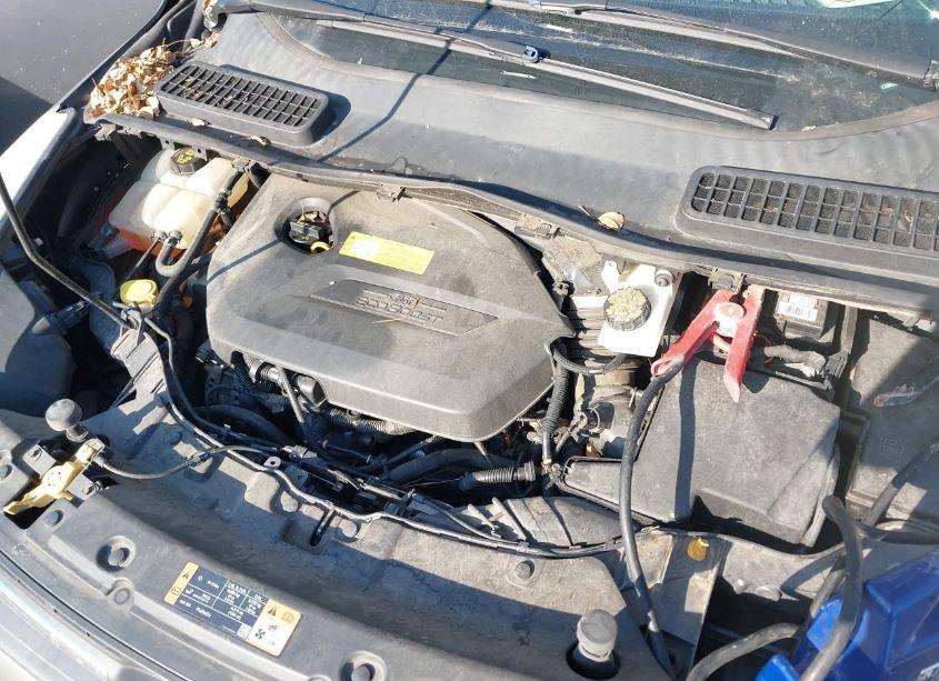 Photo 10 of 2014 Ford Escape SE (VIN 1FMCU0GX1EUB21863)