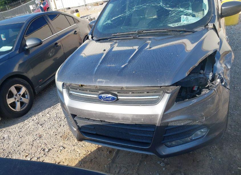 Photo 12 of 2014 Ford Escape SE (VIN 1FMCU0GX1EUB21863)