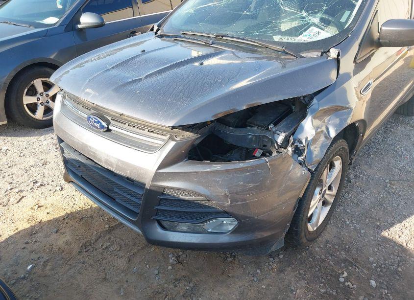 Photo 6 of 2014 Ford Escape SE (VIN 1FMCU0GX1EUB21863)