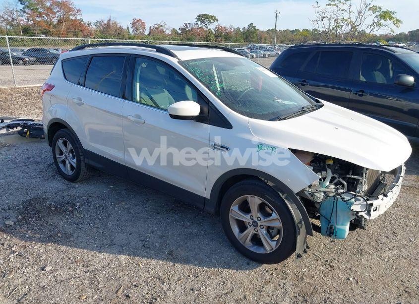 2014 Ford Escape SE (VIN 1FMCU0GX1EUB26206) main photo