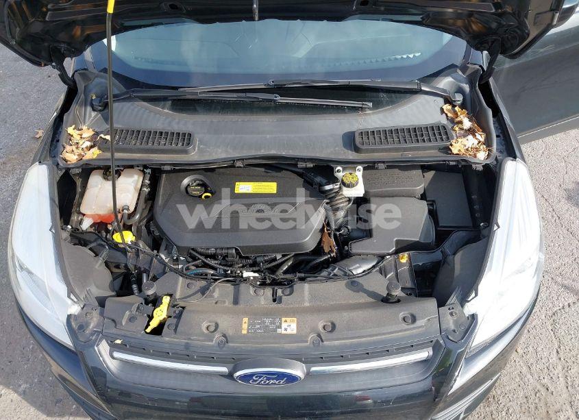 Photo 10 of 2014 Ford Escape SE (VIN 1FMCU0GX1EUB27226)