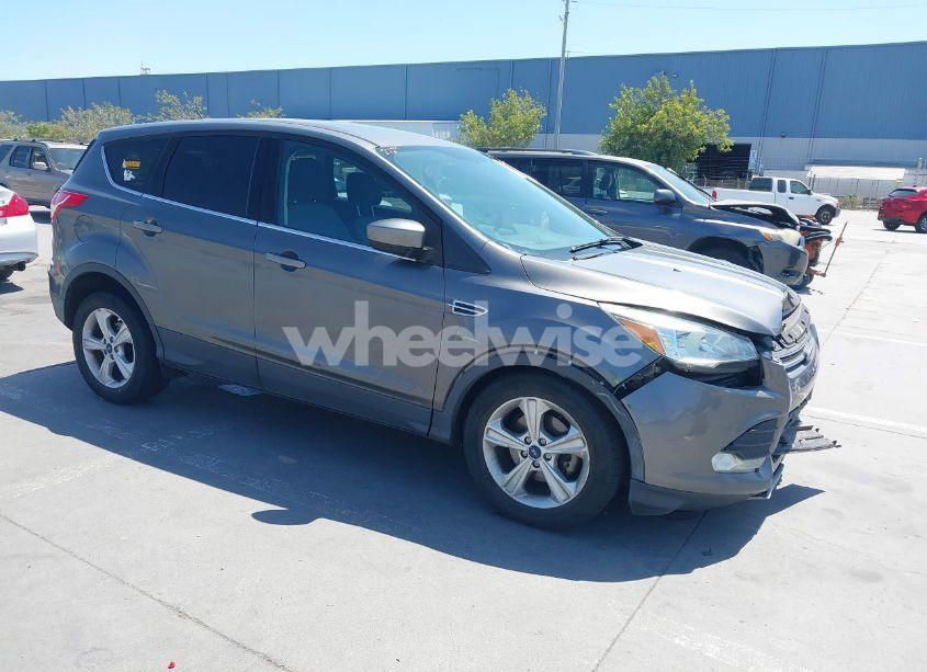 2014 Ford Escape SE (VIN 1FMCU0GX1EUB32247) main photo