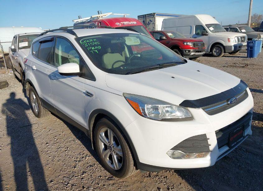 2014 Ford Escape SE (VIN 1FMCU0GX1EUB54264) main photo