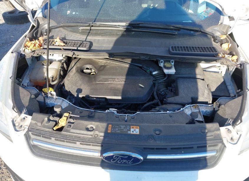 Photo 10 of 2014 Ford Escape SE (VIN 1FMCU0GX1EUB54264)