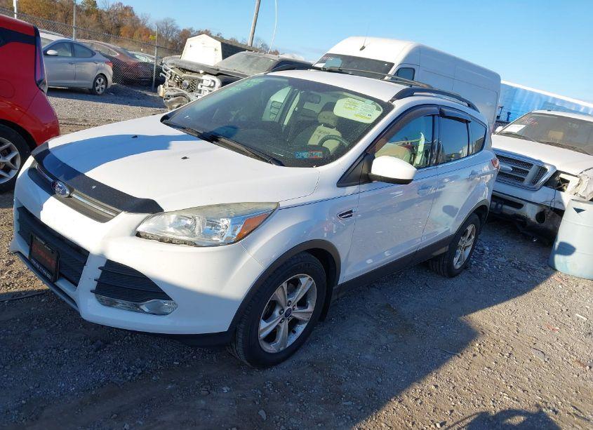 Photo 2 of 2014 Ford Escape SE (VIN 1FMCU0GX1EUB54264)