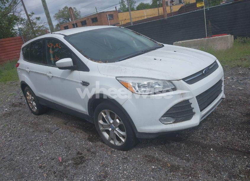 2014 Ford Escape SE (VIN 1FMCU0GX1EUB57195) main photo