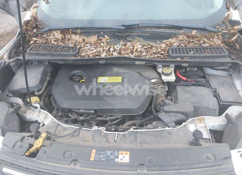 Photo 10 of 2014 Ford Escape SE (VIN 1FMCU0GX1EUB57195)