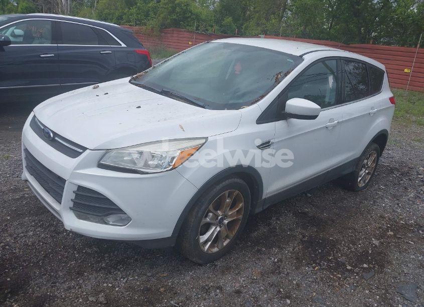 Photo 2 of 2014 Ford Escape SE (VIN 1FMCU0GX1EUB57195)