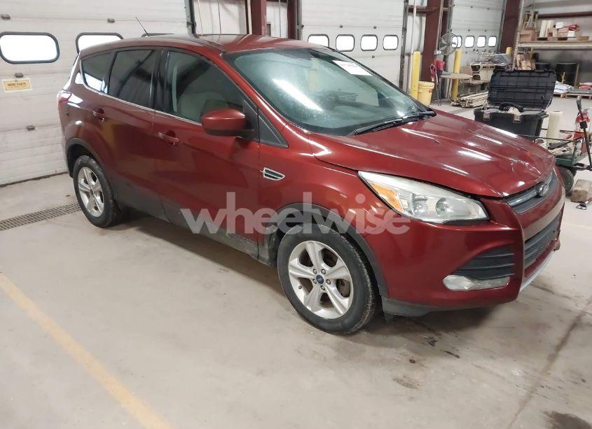 2014 Ford Escape SE (VIN 1FMCU0GX1EUB81299) main photo