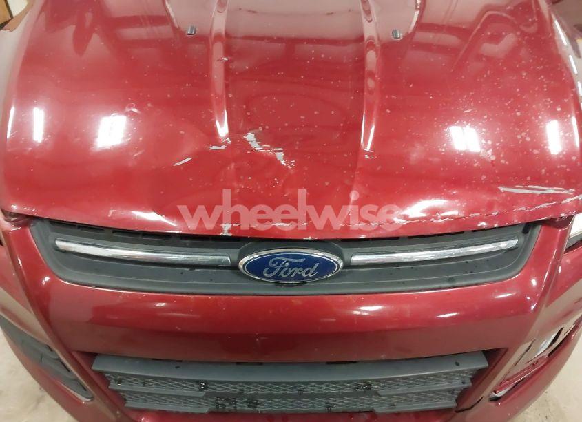 Photo 6 of 2014 Ford Escape SE (VIN 1FMCU0GX1EUB81299)