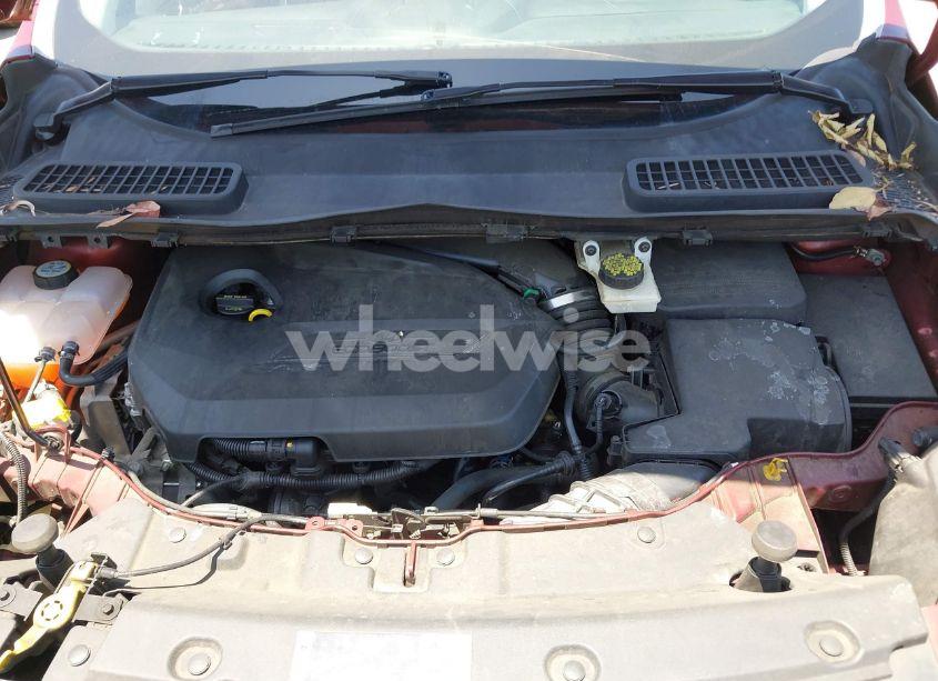 Photo 10 of 2014 Ford Escape SE (VIN 1FMCU0GX1EUD80711)