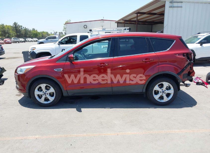 Photo 15 of 2014 Ford Escape SE (VIN 1FMCU0GX1EUD80711)