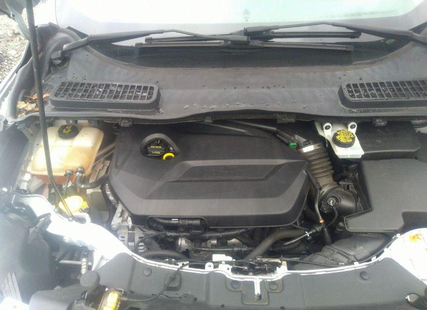 Photo 10 of 2014 Ford Escape SE (VIN 1FMCU0GX1EUE10256)