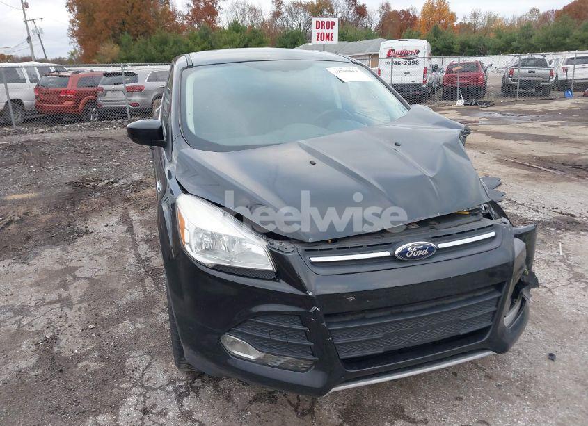 2014 Ford Escape SE (VIN 1FMCU0GX1EUE21855) main photo