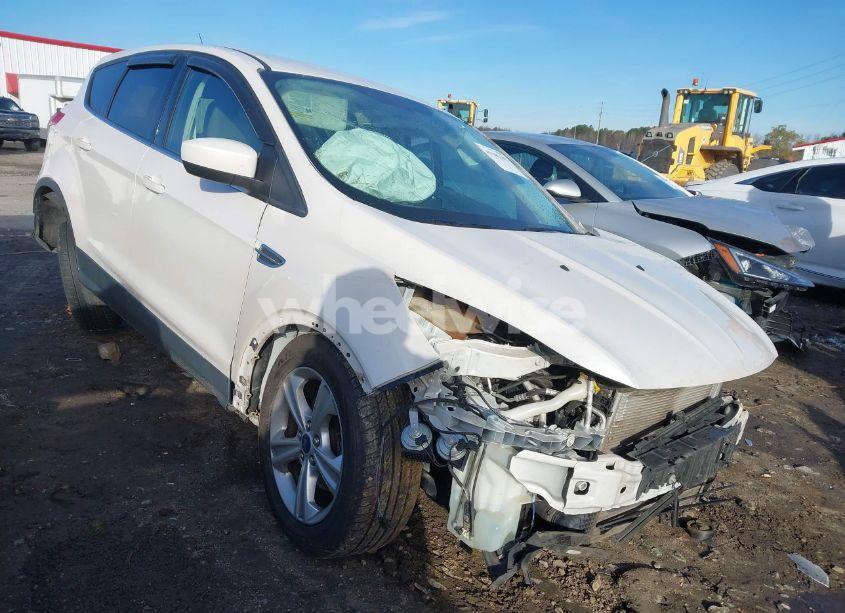 2014 Ford Escape SE (VIN 1FMCU0GX1EUE34895) main photo