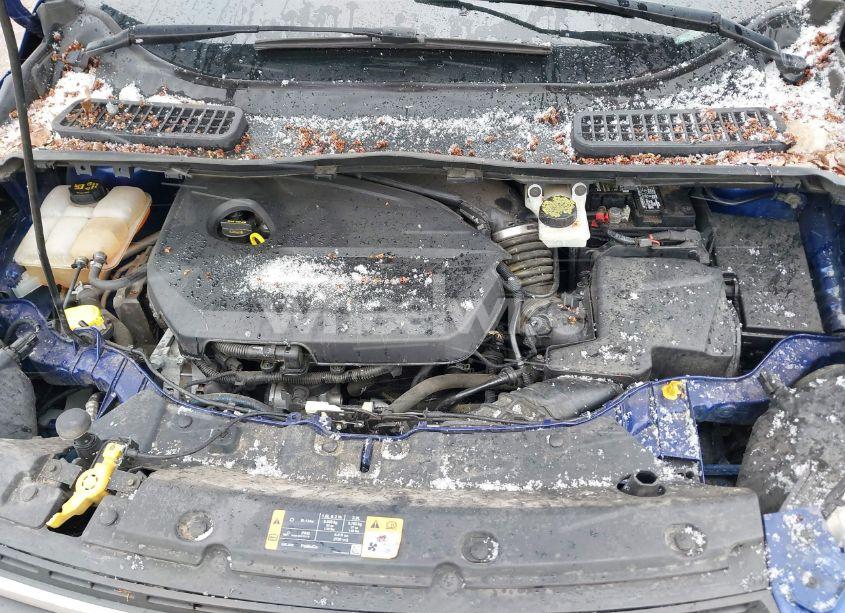 Photo 10 of 2014 Ford Escape SE (VIN 1FMCU0GX1EUE38588)