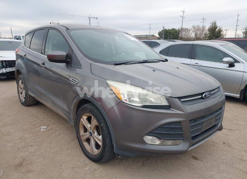 2014 Ford Escape SE (VIN 1FMCU0GX1EUE51891) main photo