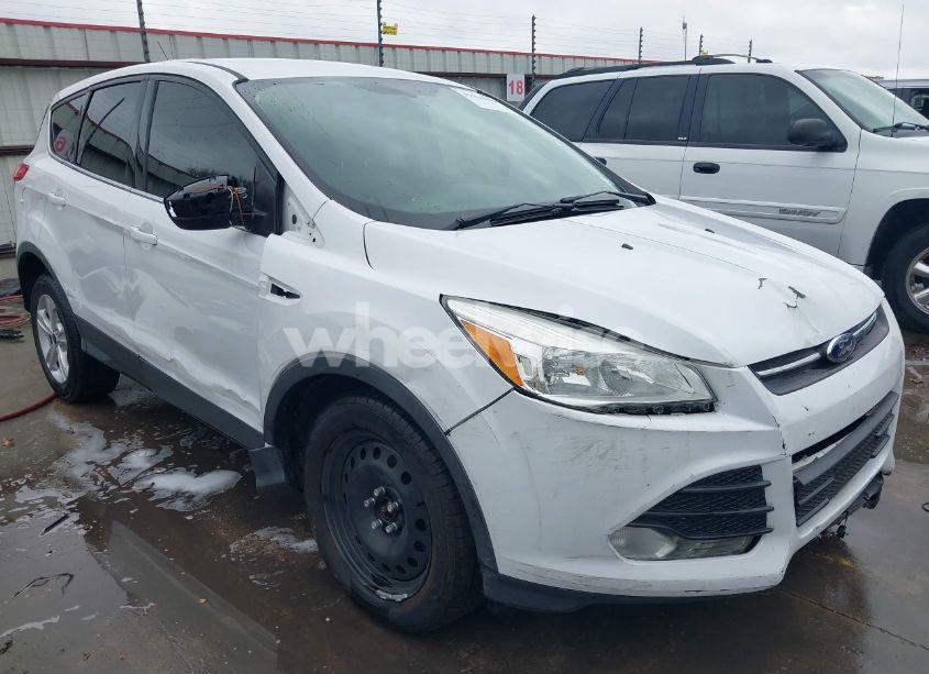 2014 Ford Escape SE (VIN 1FMCU0GX1EUE51907) main photo