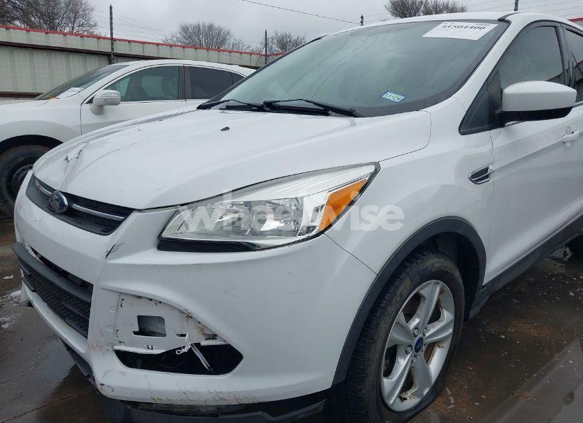 Photo 19 of 2014 Ford Escape SE (VIN 1FMCU0GX1EUE51907)