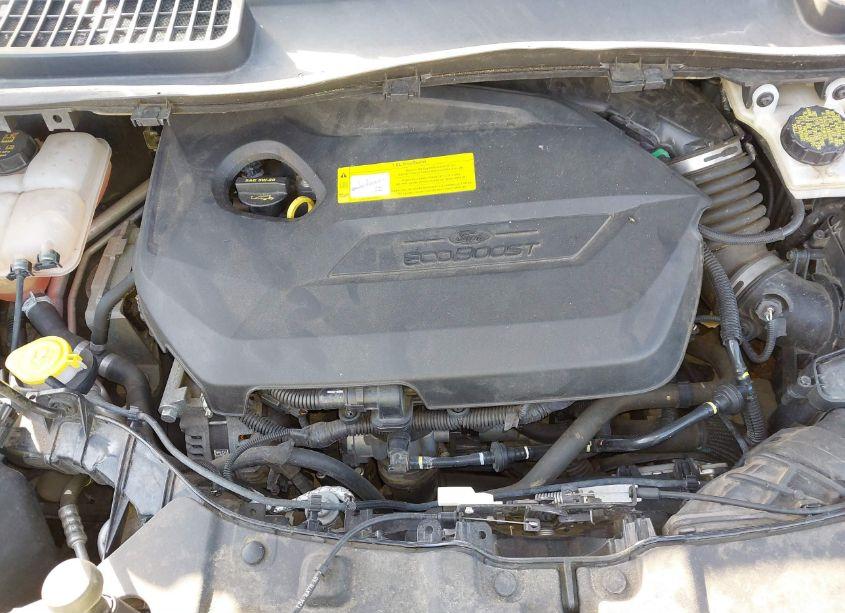 Photo 10 of 2015 Ford Escape SE (VIN 1FMCU0GX1FUA77932)