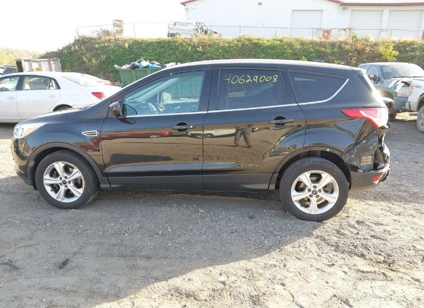 Photo 15 of 2015 Ford Escape SE (VIN 1FMCU0GX1FUA77932)