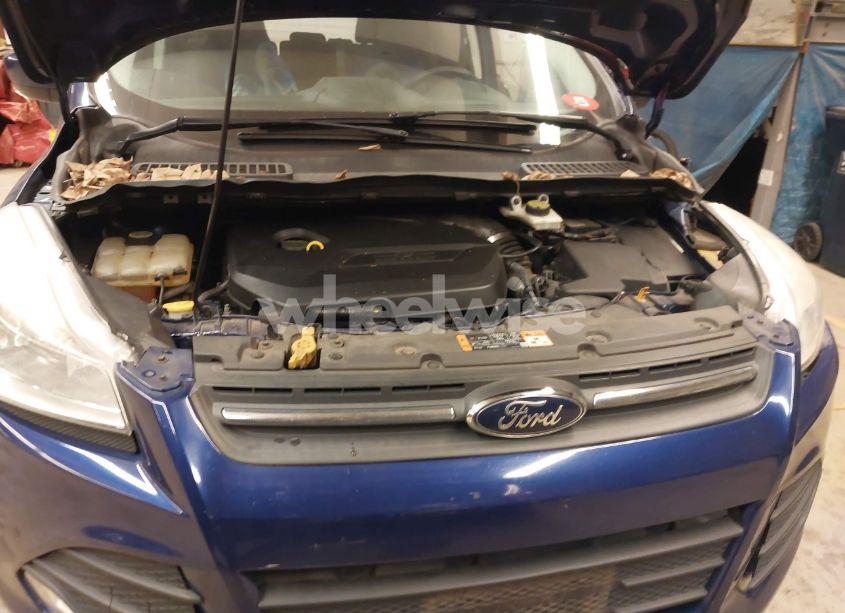 Photo 10 of 2015 Ford Escape SE (VIN 1FMCU0GX1FUA81737)