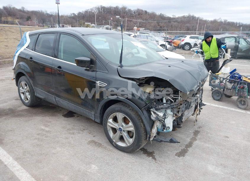 2015 Ford Escape SE (VIN 1FMCU0GX1FUB66271) main photo